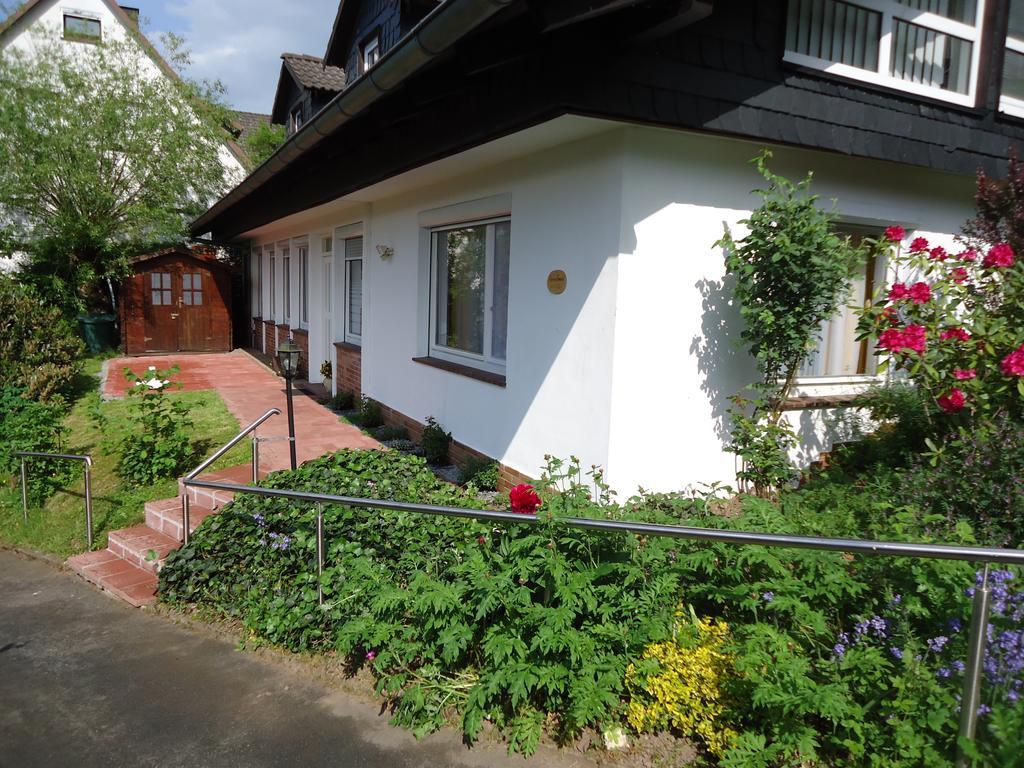 Вилла Haus Am Burgberg Франкенберг Экстерьер фото